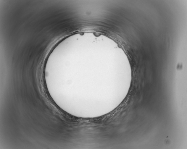 X0000103460289200810031504