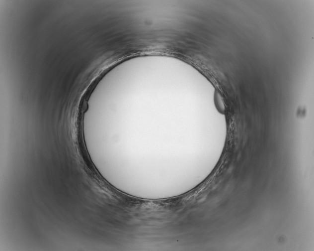 X0000103460290200810031504