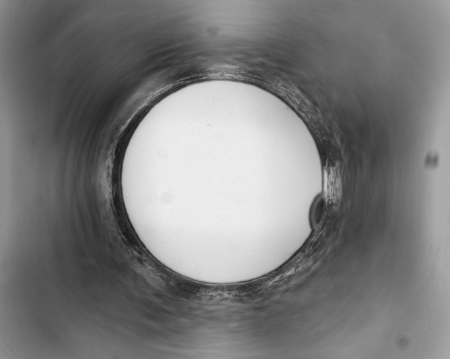 X0000103460291200810031504