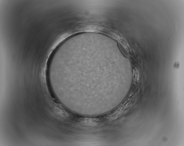 X0000103460292200810031504