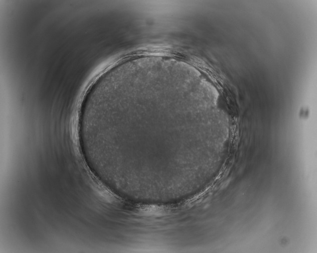 X0000103460293200810031504