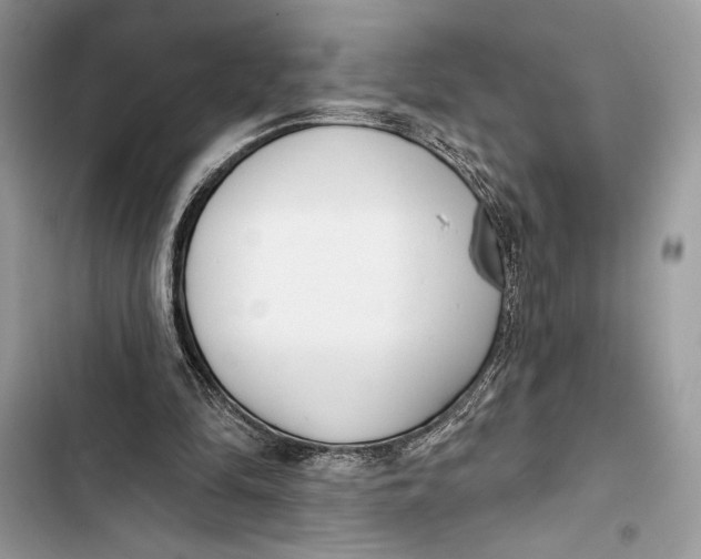 X0000103460294200810031504