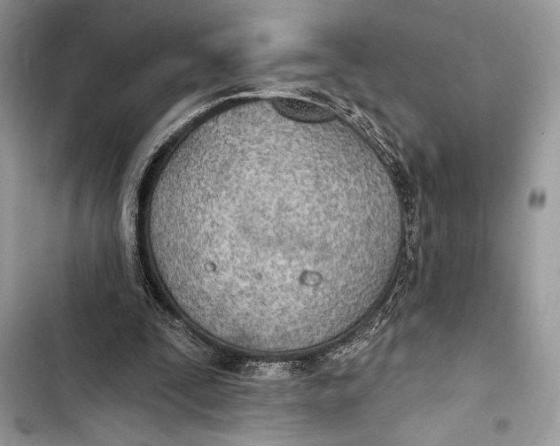 X0000103460295200810031504