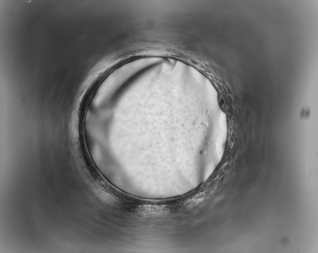 X0000103460296200810031504