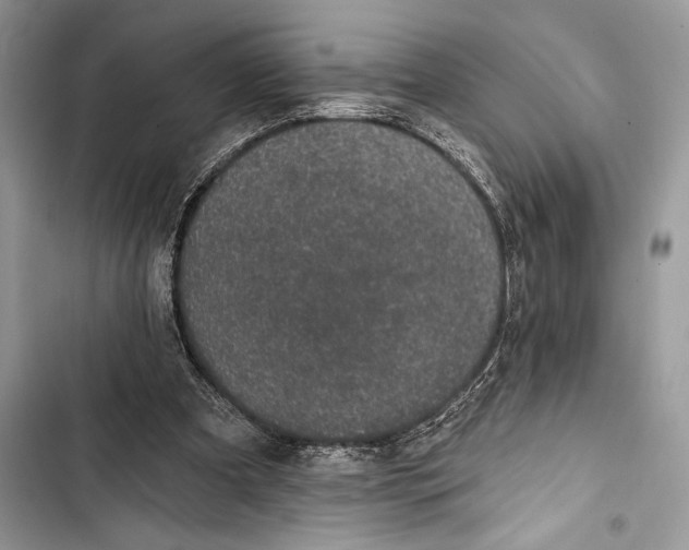 X0000103460297200810031504