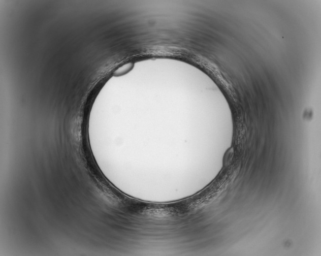 X0000103460299200810031504