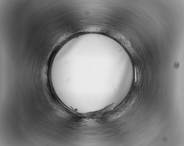 X0000103460300200810031504