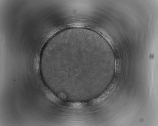 X0000103460301200810031504