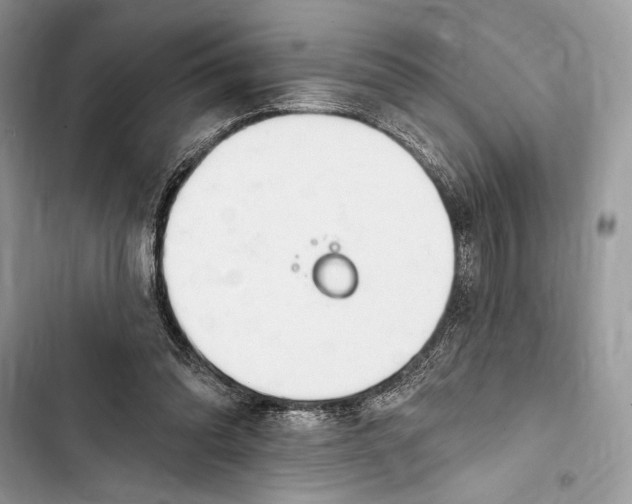 X0000103460302200810031504