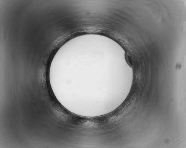 X0000103460303200810031504