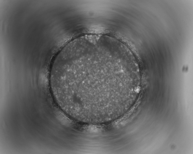 X0000103460305200810031504