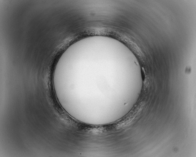 X0000103460306200810031504