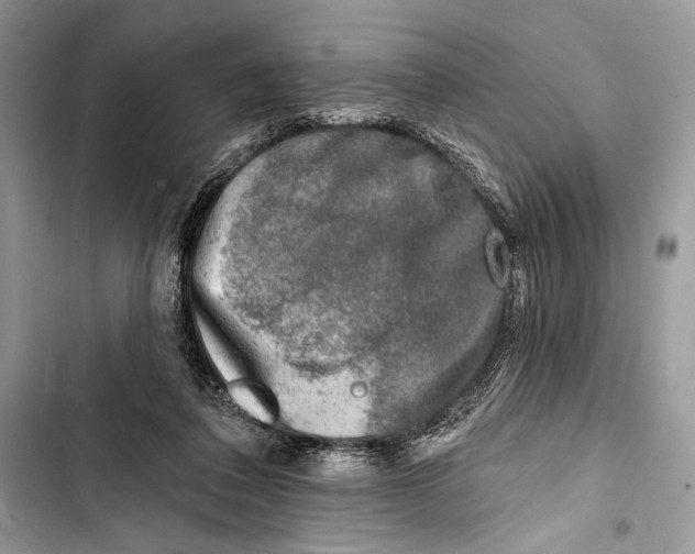 X0000103460308200810031504