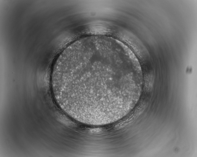 X0000103460309200810031504