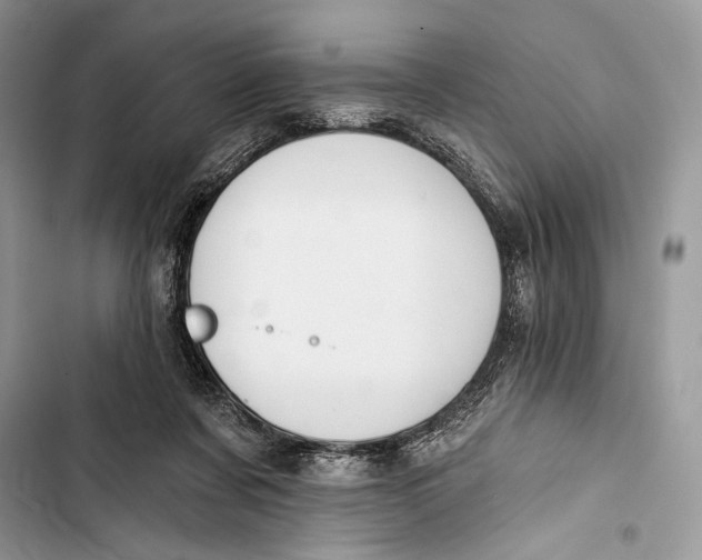 X0000103460311200810031504