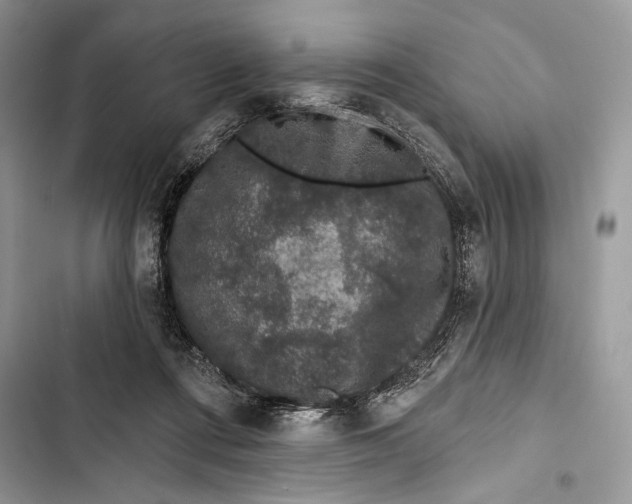 X0000103460312200810031504