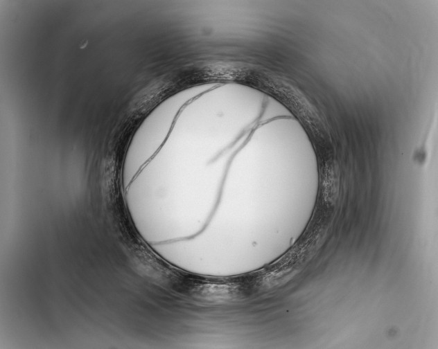 X0000103460314200810031504