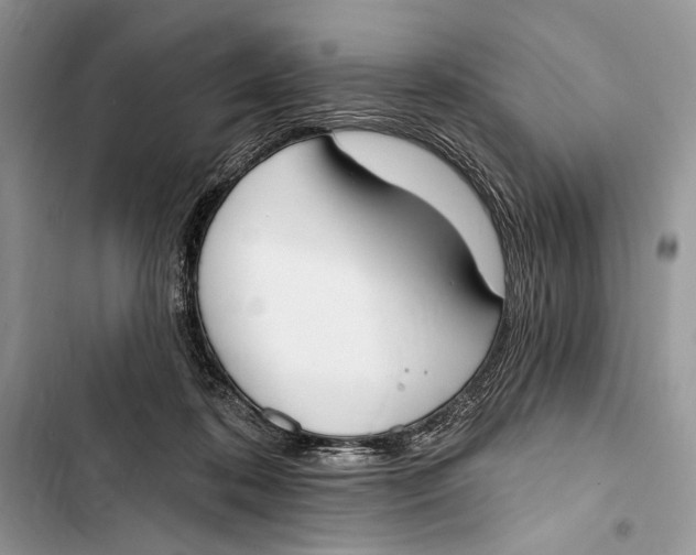 X0000103460316200810031504