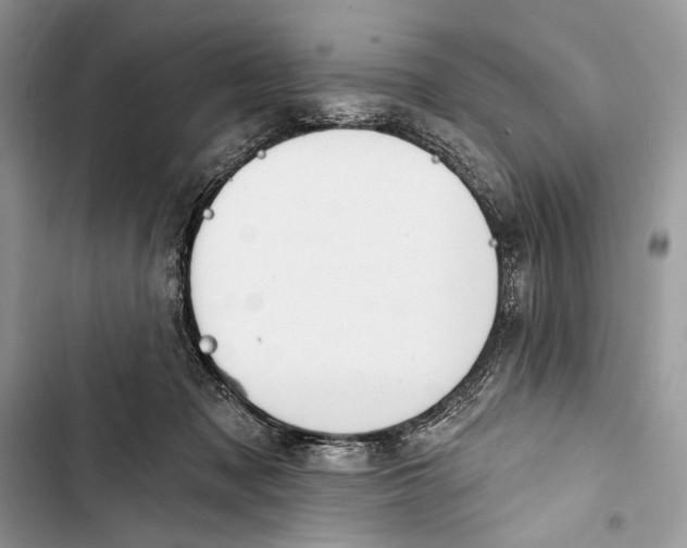 X0000103460317200810031504