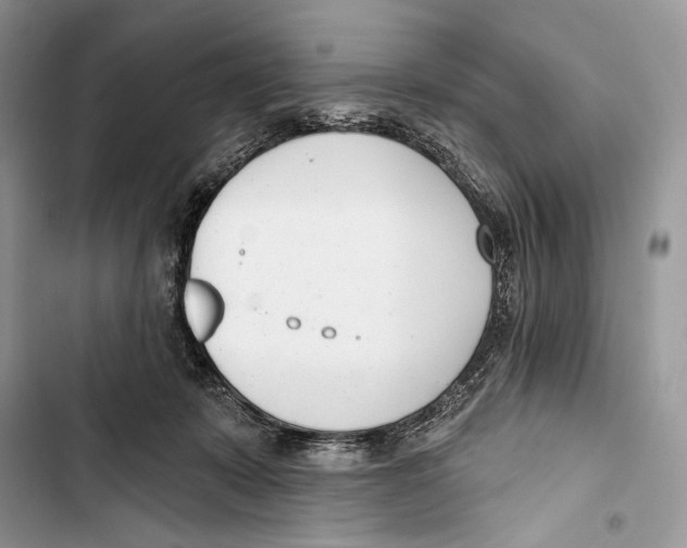 X0000103460319200810031504