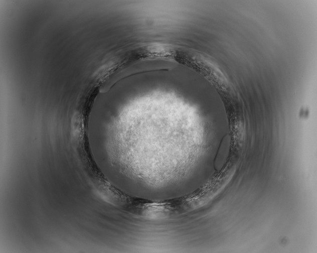 X0000103460320200810031504