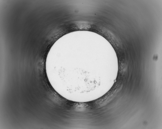 X0000103460321200810031504