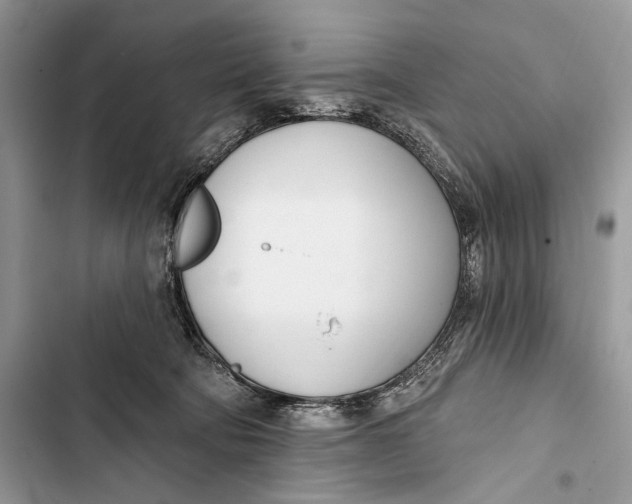 X0000103460322200810031504