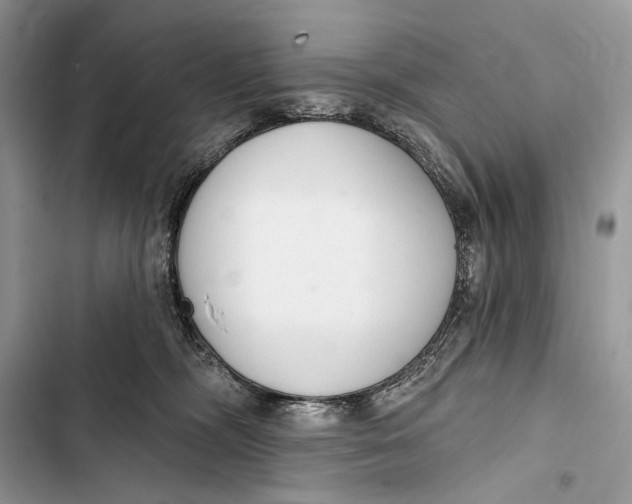 X0000103460326200810031503