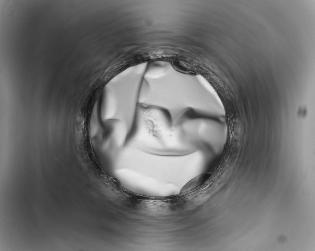 X0000103460327200810031503