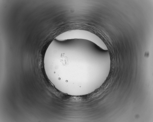 X0000103460328200810031503