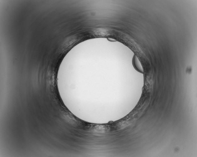 X0000103460330200810031503