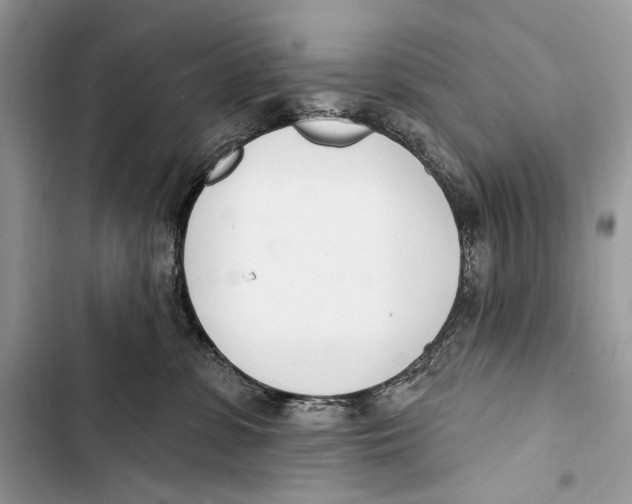 X0000103460331200810031503