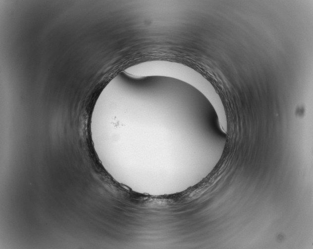 X0000103460332200810031503