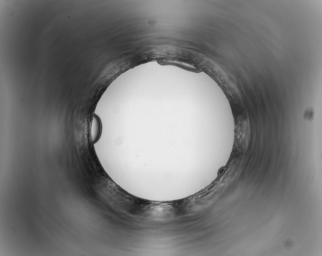 X0000103460333200810031503