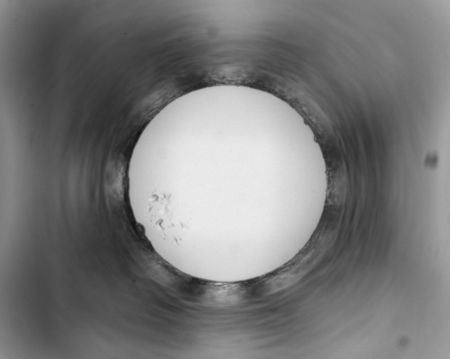 X0000103460334200810031503