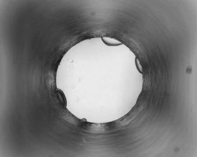 X0000103460335200810031503