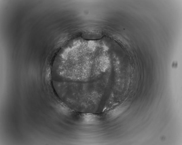 X0000103460336200810031503