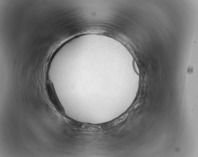 X0000103460337200810031503