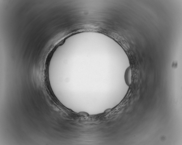 X0000103460338200810031503