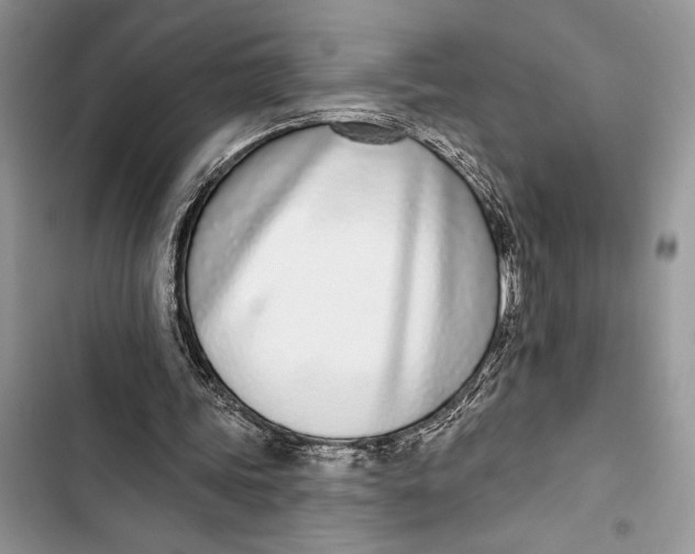 X0000103460339200810031503