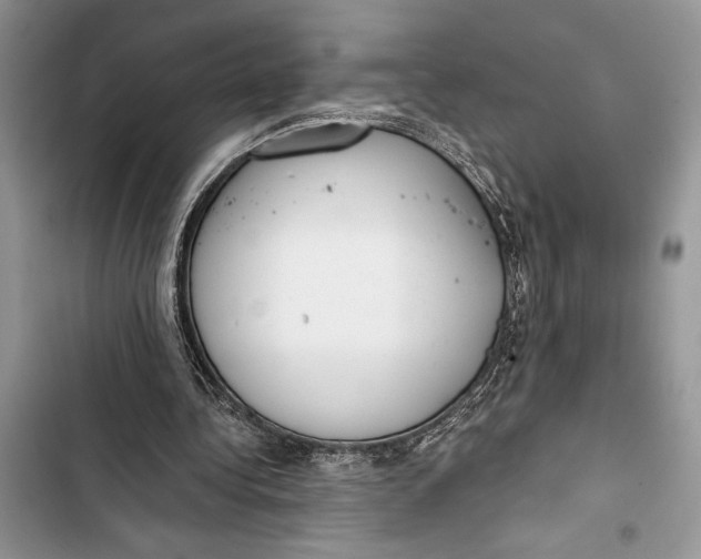 X0000103460340200810031503