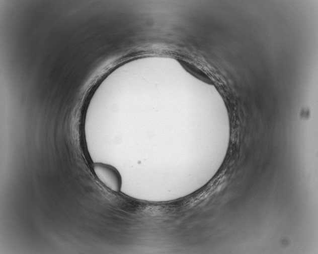 X0000103460341200810031503