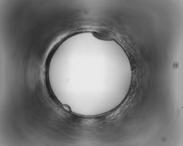 X0000103460342200810031503