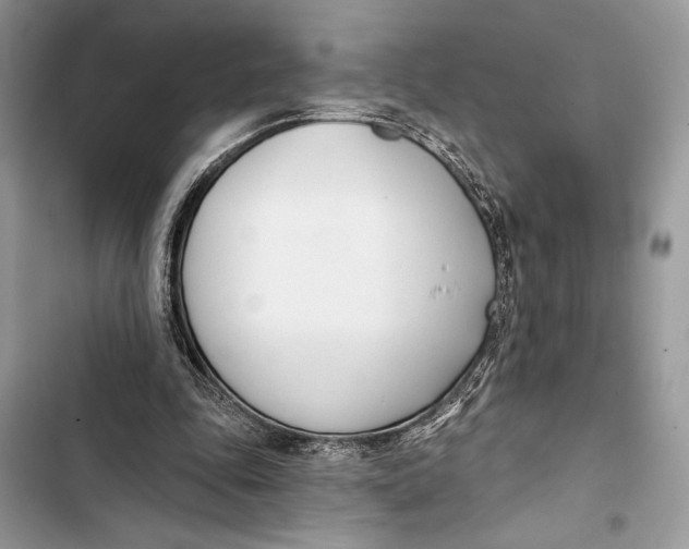 X0000103460343200810031503