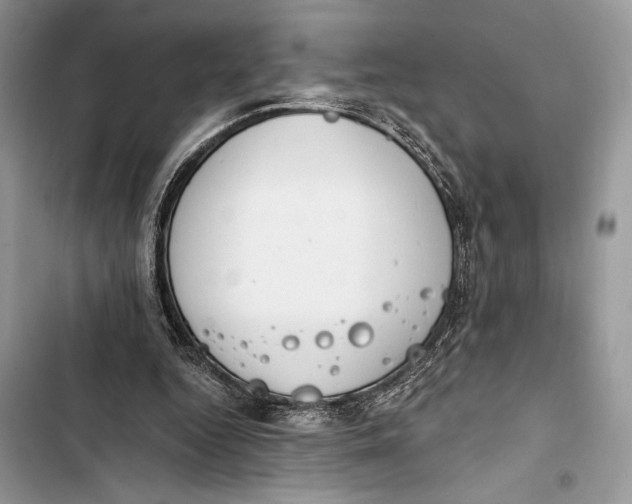 X0000103460344200810031503