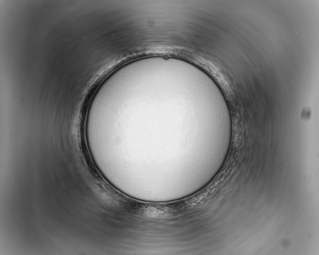 X0000103460346200810031503