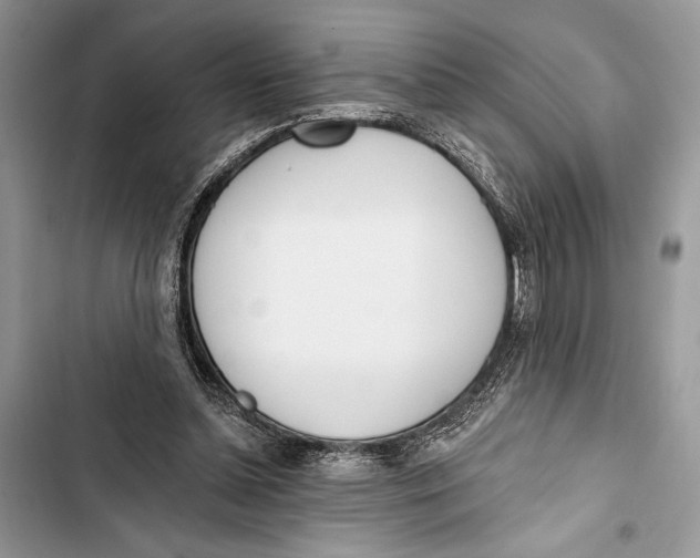 X0000103460348200810031503