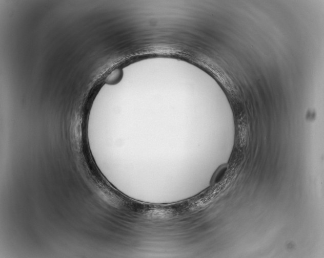 X0000103460350200810031503