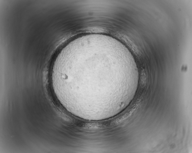 X0000103460351200810031503