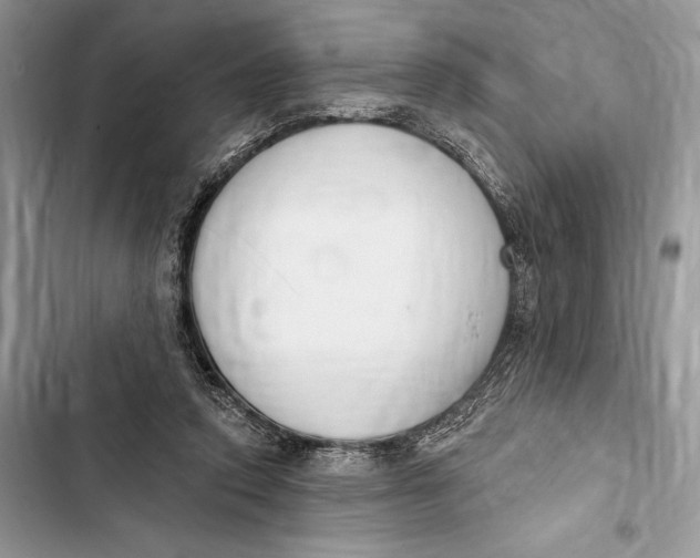 X0000103460354200810031503